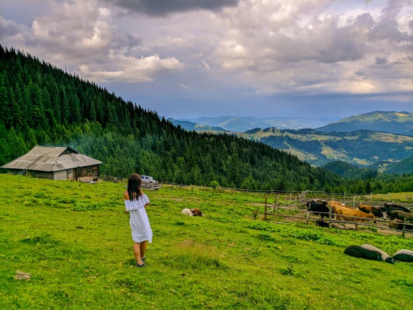 Viagens Vida Nas Montanhas Dos Cárpatos Aldeias Dos Cárpatos Florestas Fotos De Bancos De Imagens Sem Royalties