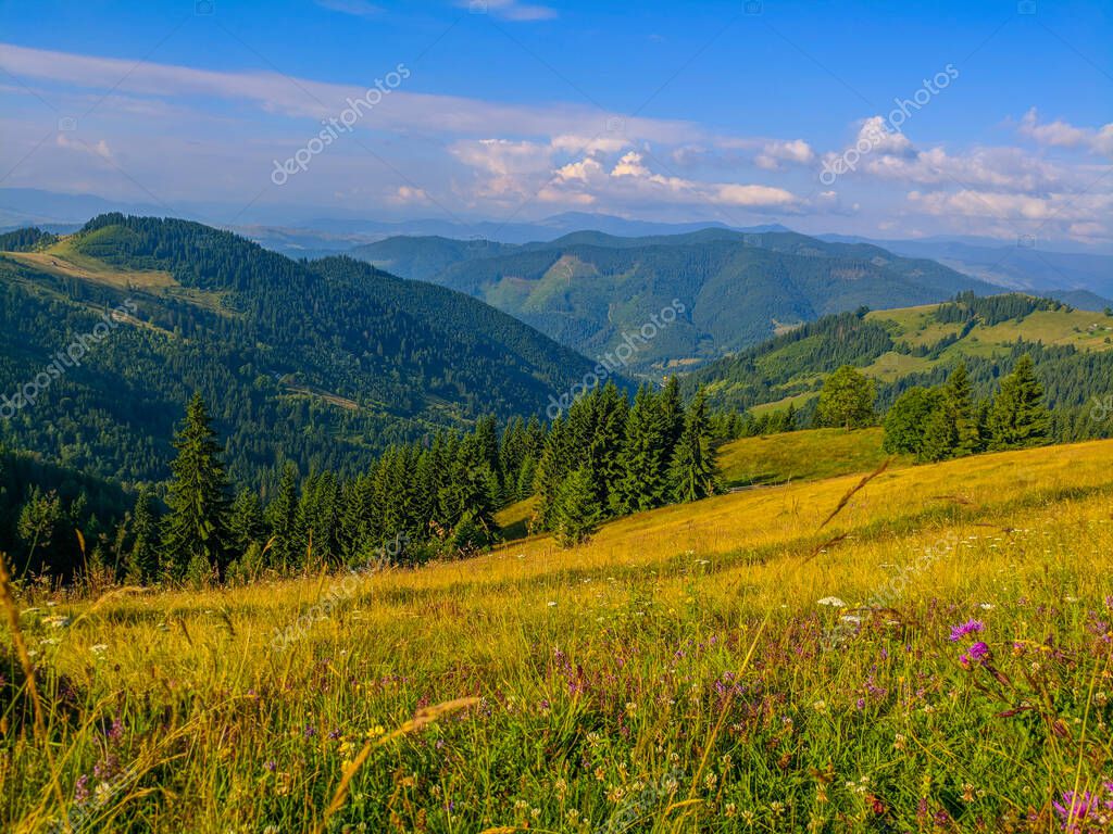 Viaje y vida en las montañas de los Cárpatos. Pueblos Cárpatos, bosques