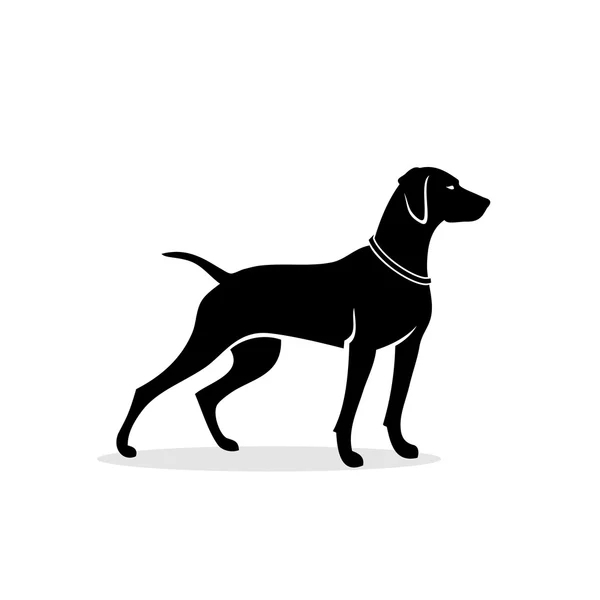 Vizsla hond illustratie — Stockvector
