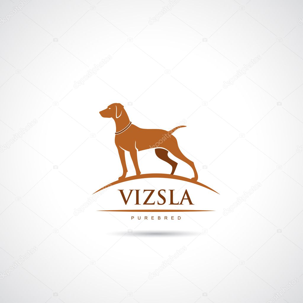 Vizsla dog symbol - vector illustration