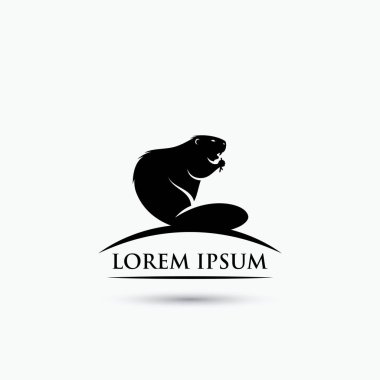 Kunduz logo tasarımı