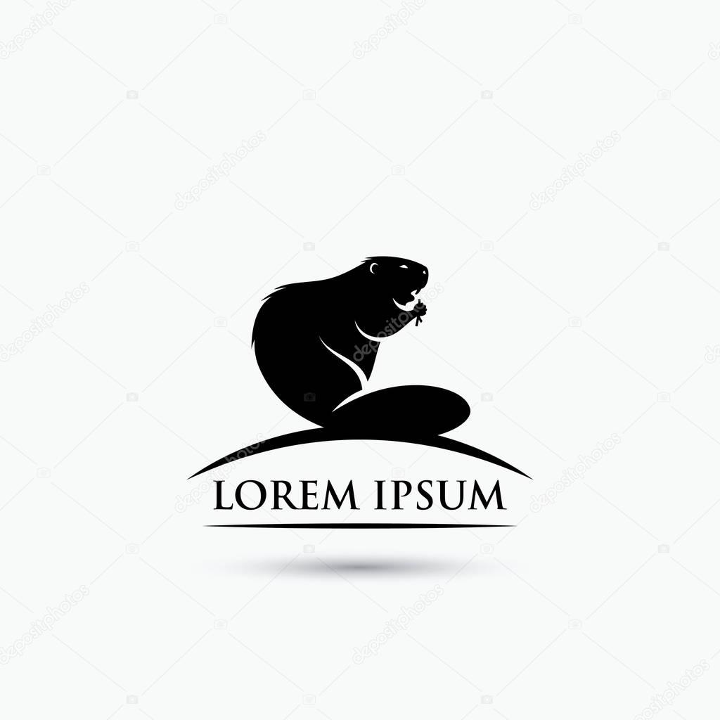 Vector illustration design of beaver logo