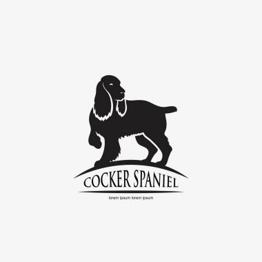 English cocker spaniel dog  clipart