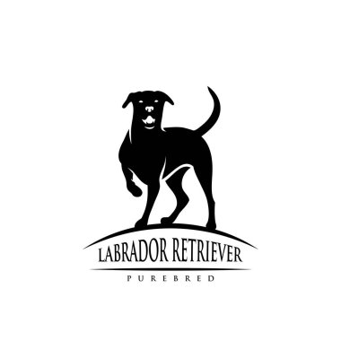 Labrador Retriever dog  clipart