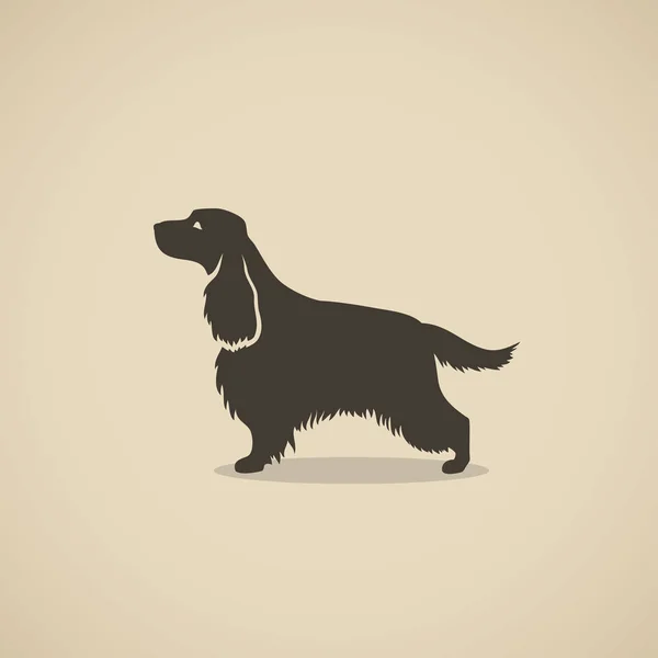 Inglés cocker spaniel dog — Vector de stock