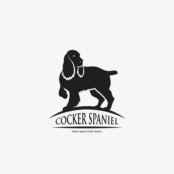 English cocker spaniel dog 
