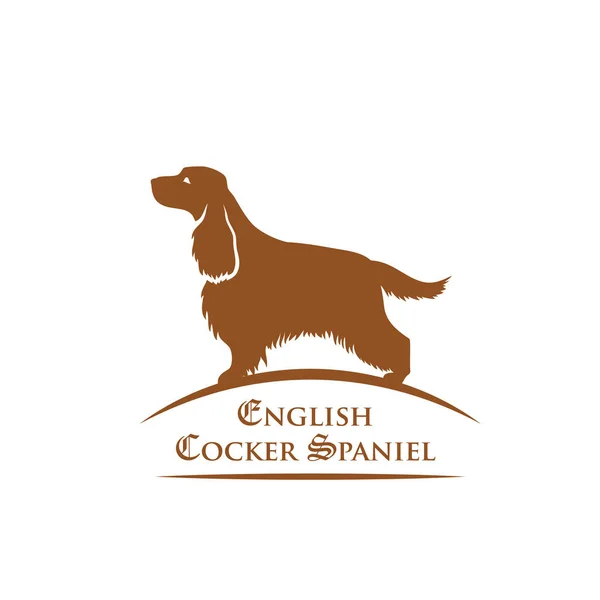 Inglés cocker spaniel dog — Vector de stock