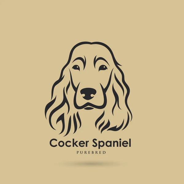 Icône de l'épagneul cocker — Image vectorielle