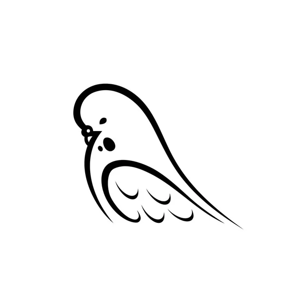 Andulka, papouška, Andulka — Stockový vektor