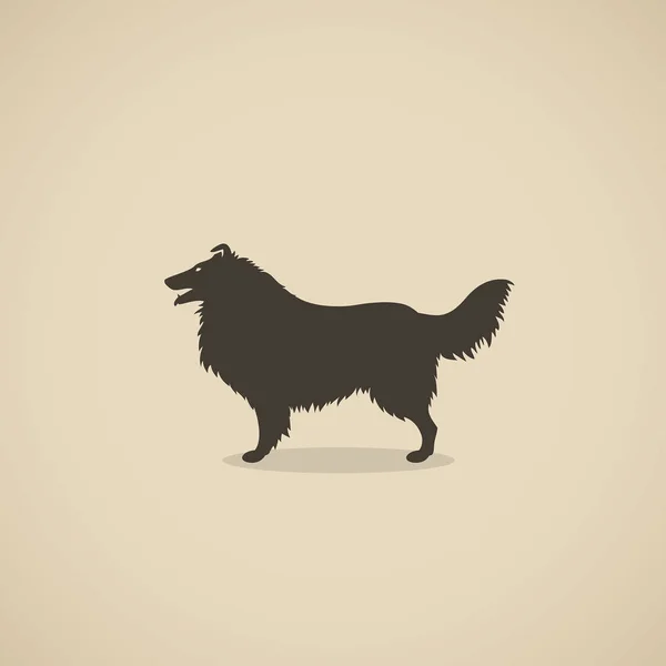 Áspero collie cão — Vetor de Stock