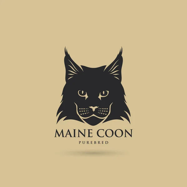 Maine Coon gatto — Vettoriale Stock