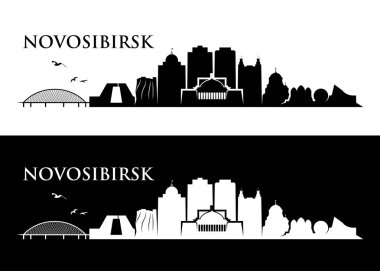 Novosibirsk manzarası. Rusya