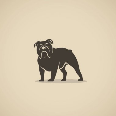 İngilizce bulldog tasarım - vektör çizim