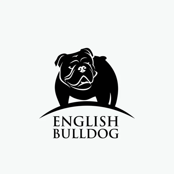 Angol Bulldog Design Vektor Illusztráció — Stock Vector