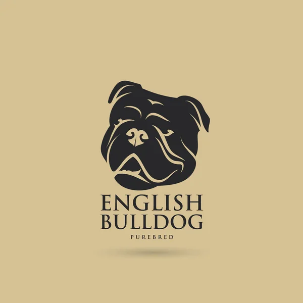 Desenho Bulldog Inglês Ilustração Vetorial — Vetor de Stock