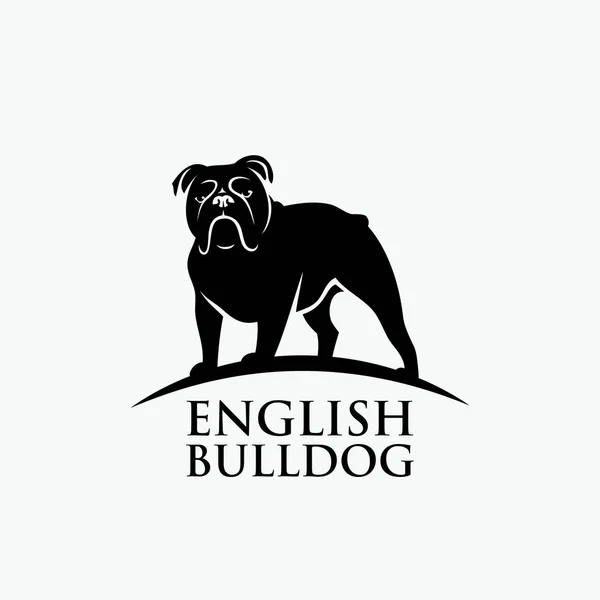 Franse Bulldog Ontwerp Vectorillustratie — Stockvector