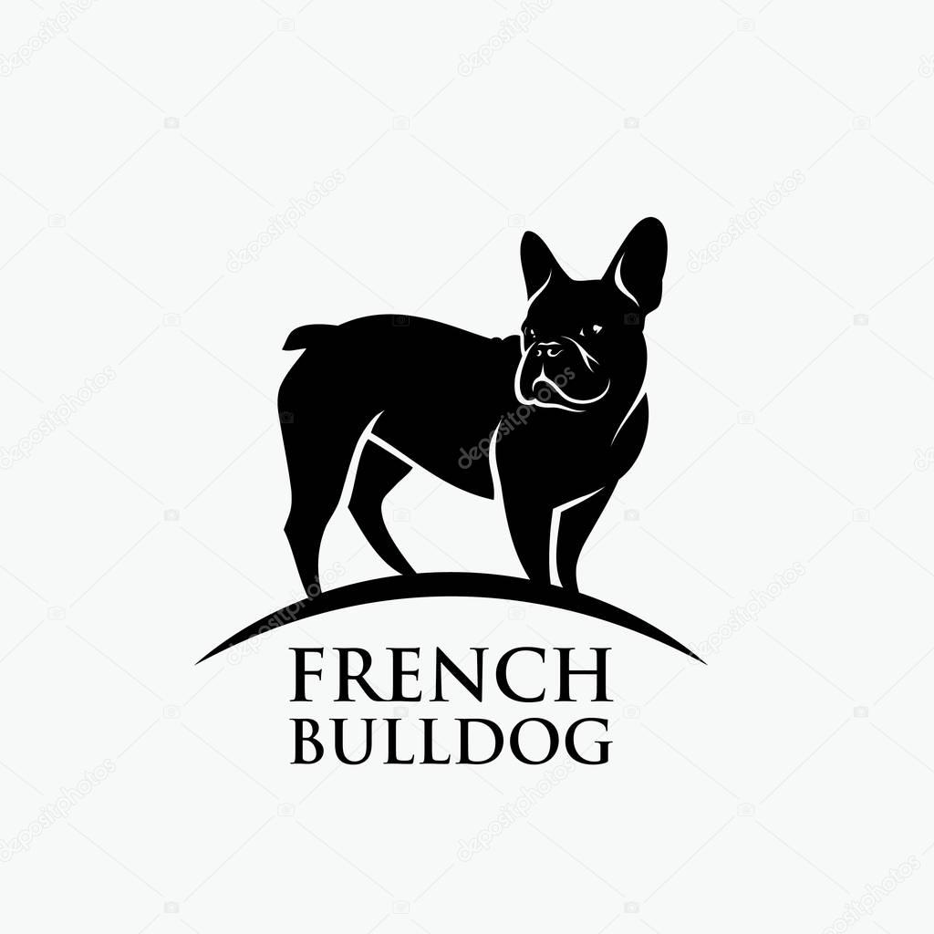 French bulldog design - vector illustration