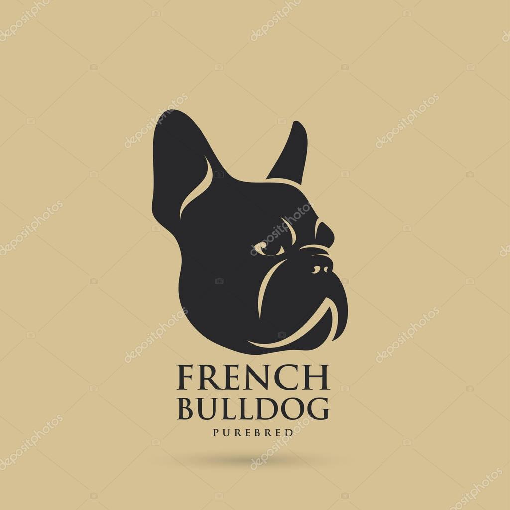 French bulldog design - vector illustration