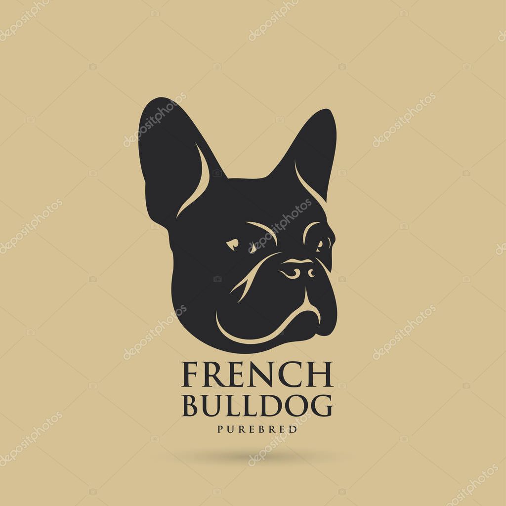 French bulldog design - vector illustration