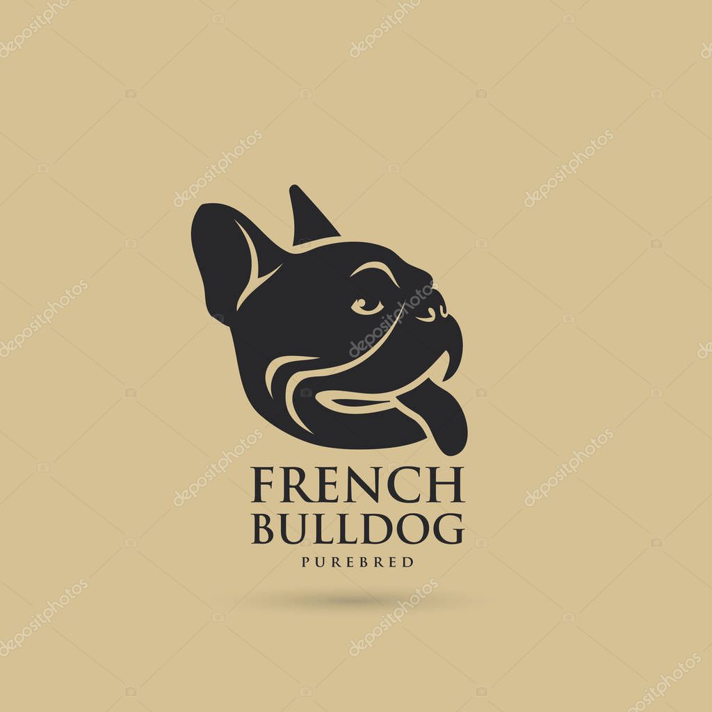 French bulldog design - vector illustration