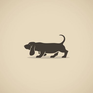 Basset hound dog - vektör çizim