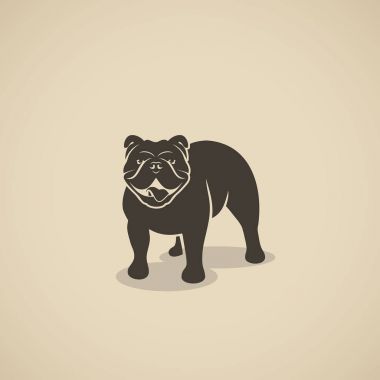 İngilizce bulldog - vektör çizim