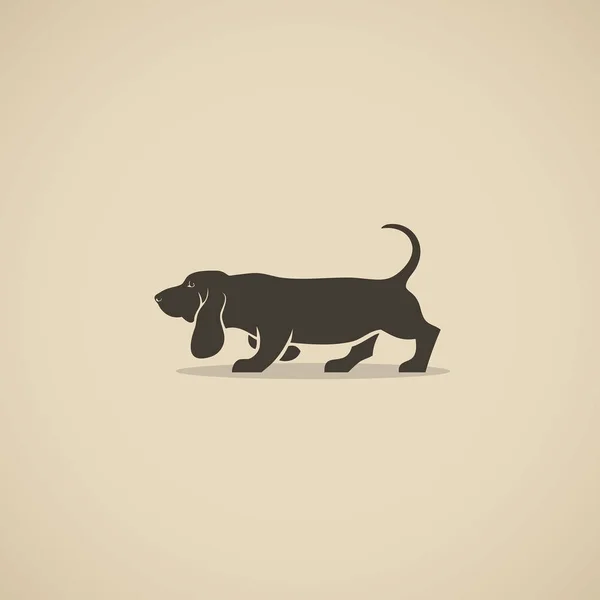 Basset Hound Dog Vectorillustratie — Stockvector