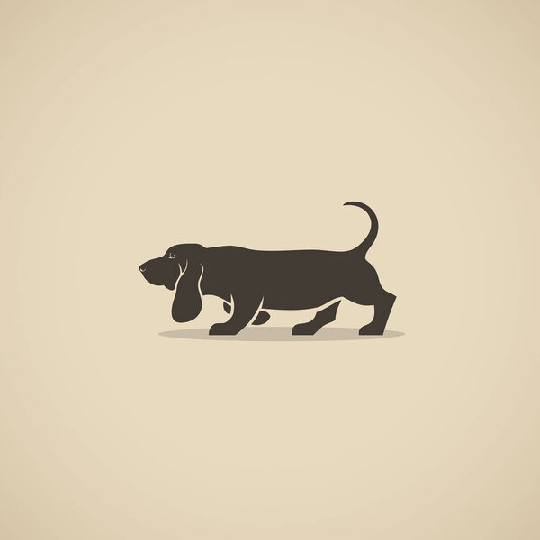 Basset hound dog - vector illustration