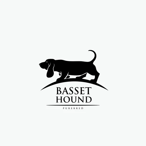 Basset Hound Dog Vektör Çizim — Stok Vektör