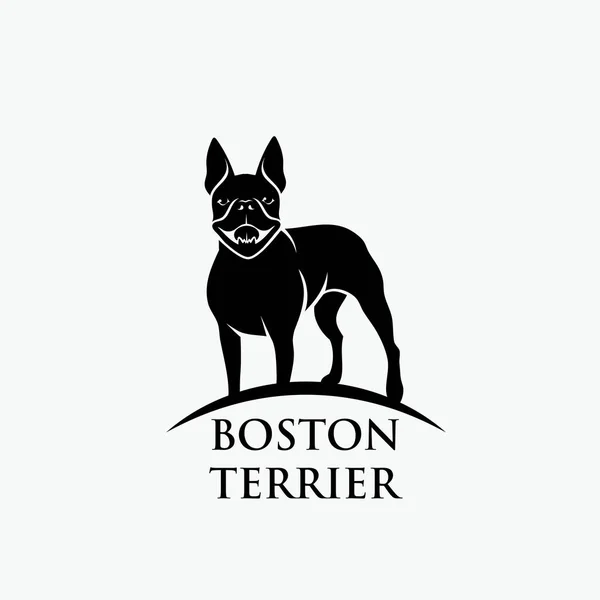 Boston Terrier Dog Vector Illustration — Stock Vector