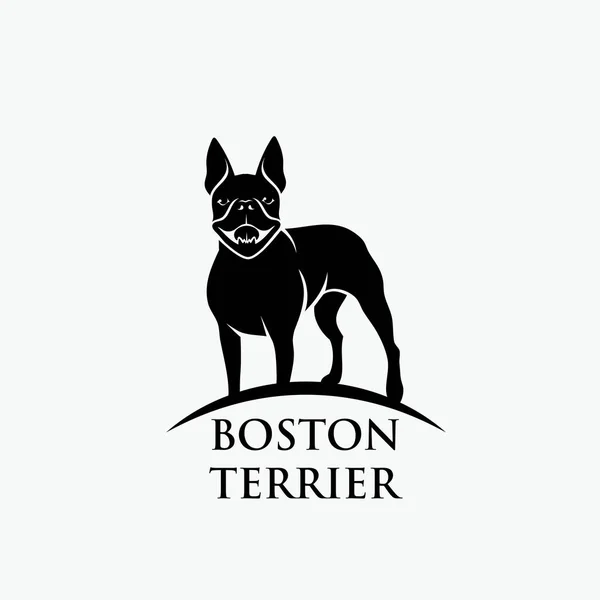 Boston Terrier Hund Vektorillustration — Stock vektor