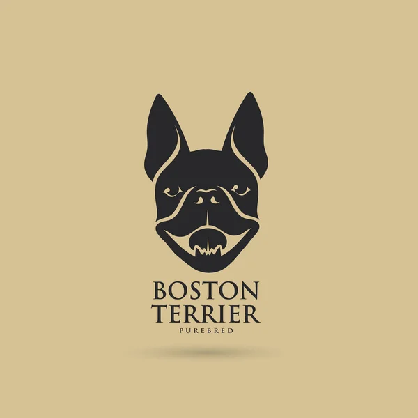 Бостон Тер Собака Векторні Ілюстрації — стоковий вектор
