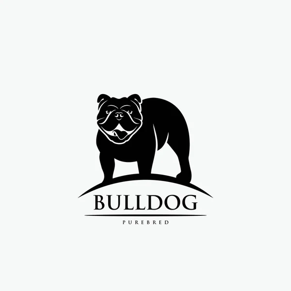 Engelsk Bulldogg Vektorillustration — Stock vektor