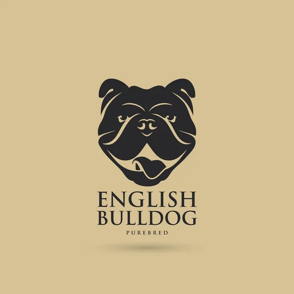 English Bulldog Vector Illustration — Stock Vector