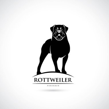 vektör çizim tasarım izole beyaz arka plan üzerinde siyah rottweiler köpek