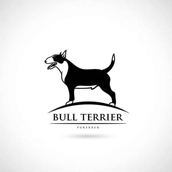 Desenho Ilustração Vetorial Cão Terrier Touro Preto Isolado Fundo Branco — Vetor de Stock