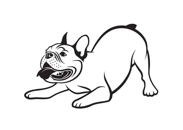 Disegno Illustrazione Vettoriale Bulldog Francese Isolato Sfondo Bianco — Vettoriale Stock