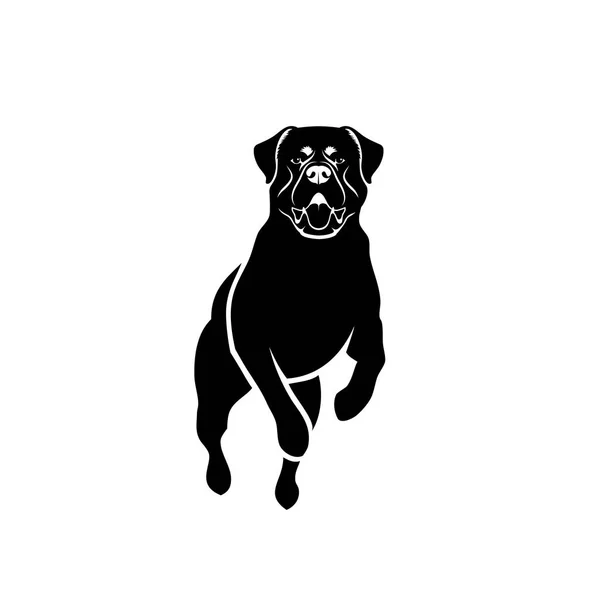 Desenho Ilustração Vetorial Cão Rottweiler Preto Isolado Fundo Branco —  Vetores de Stock