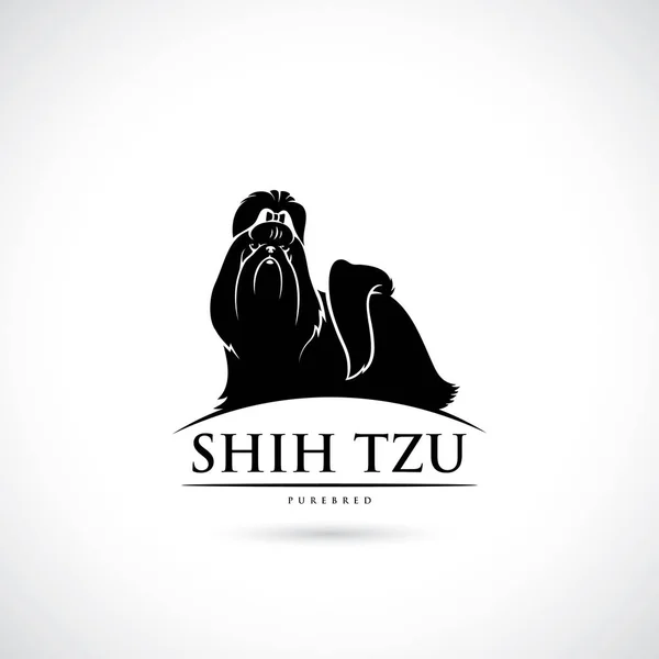 Vektor Illustration Utformningen Svart Shih Tzu Hund Bakgrund — Stock vektor