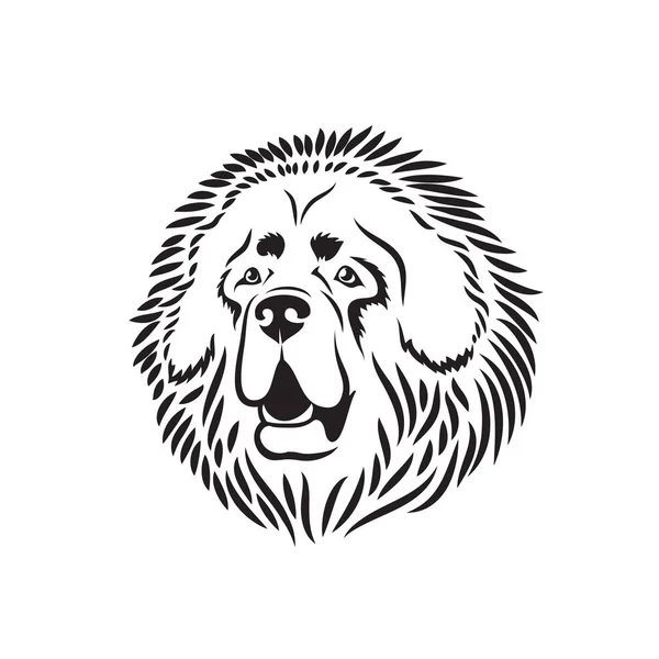 Vector Illustration Design Black Tibetan Mastiff Isolated White Background — Stock Vector