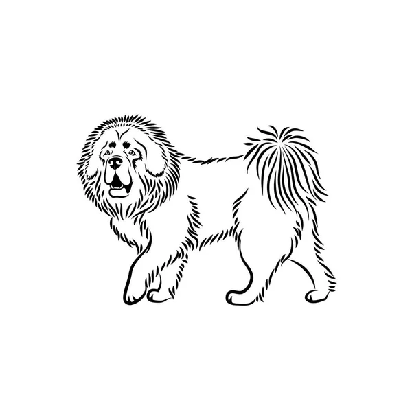 Vektorové Ilustrace Design Černé Tibetská Doga Izolovaných Bílém Pozadí — Stockový vektor