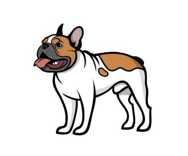 boğa köpek vektör çizim Fransız    