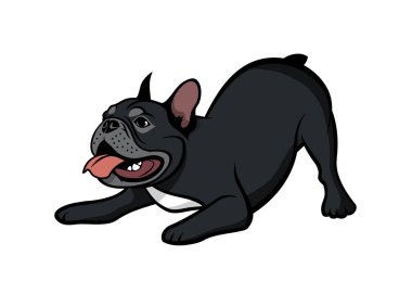 boğa köpek vektör çizim Fransız    