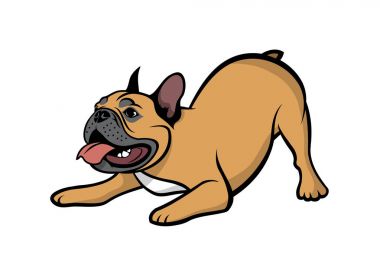 boğa köpek vektör çizim Fransız    