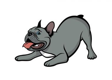 boğa köpek vektör çizim Fransız    