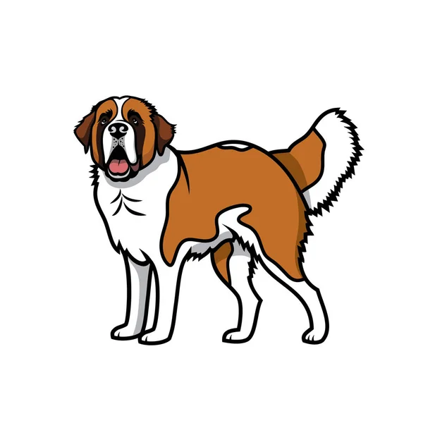 Bernard Dog Vector Illustration — Stock Vector