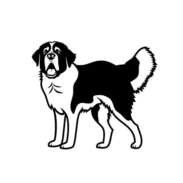 Bernard Hond Vectorillustratie — Stockvector