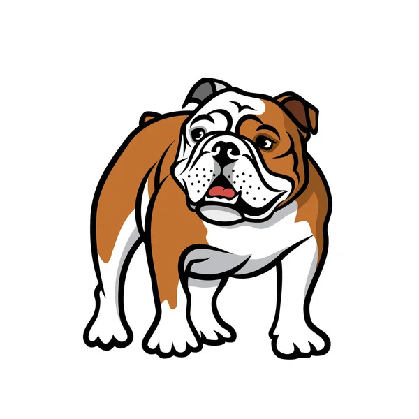 Vektor Illustration Utformningen Bulldog Isolerad Vit Bakgrund — Stock vektor