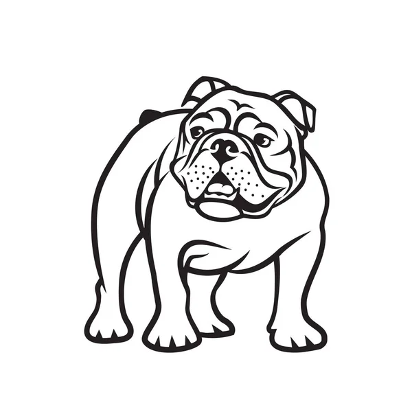 Vector Illustration Design Bulldog Isolated White Background — Stock Vector
