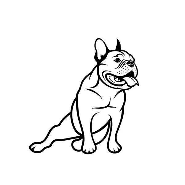 Französische Bulldogge Vektor Illustration — Stockvektor